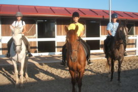 paseos a caballo